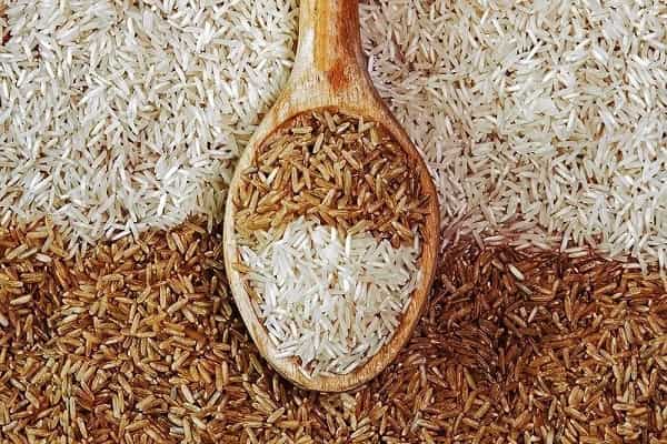 فروش برنج قهوه ای مشهد + قیمت خرید به صرفه